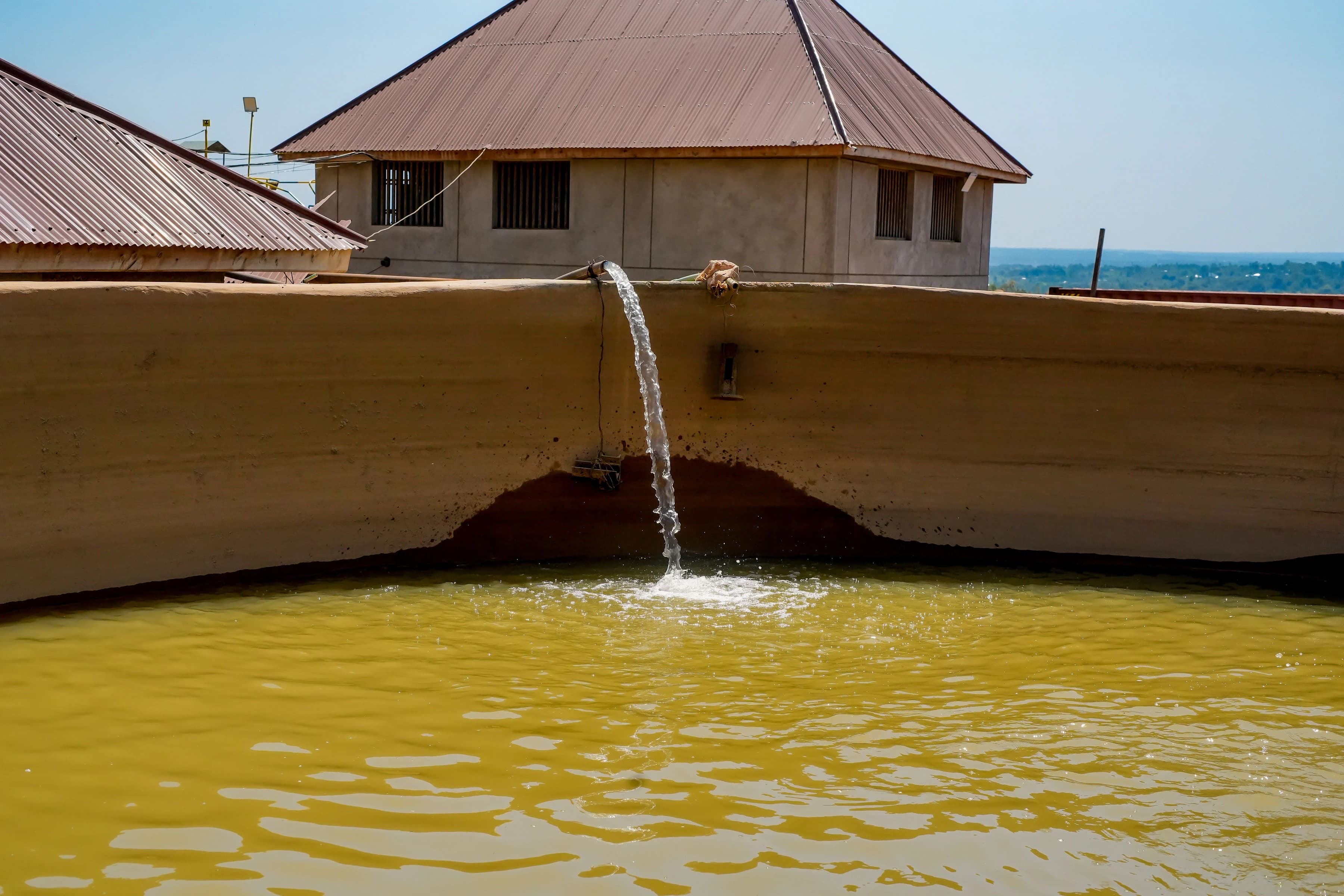 Green Ngoria Supplies — Photograph 44